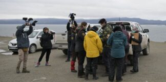 Investigadores recolectan roedores cerca de Ushuaia para realizar pruebas de hantavirus investigadores-recolectan-roedores-cerca-de-ushuaia-para-realizar-pruebas-de-hantavirus