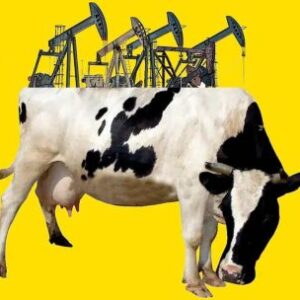 vaca-muerta-promete-una-inundacion-de-dolares,-asegurando-al-proximo-presidente-de-argentina-contra-cualquier-crisis-monetaria