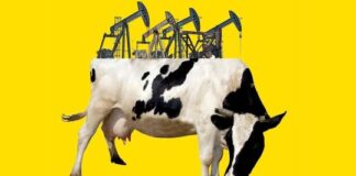 Vaca Muerta promete una inundación de dólares, asegurando al próximo presidente de Argentina contra cualquier crisis monetaria vaca-muerta-promete-una-inundacion-de-dolares,-asegurando-al-proximo-presidente-de-argentina-contra-cualquier-crisis-monetaria