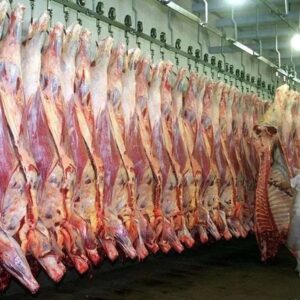 las-exportaciones-de-carne-vacuna-saltaron-casi-54%-y-superaron-los-u$s1.000-millones-en-el-arranque-de-2026
