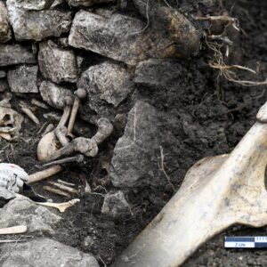arqueologos-de-peru-descubren-tumba-de-hace-600-anos-en-kuelap-con-restos-humanos-y-ofrendas-ceremoniales-unicas