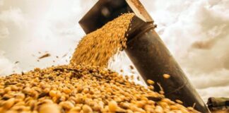 El acuerdo México-Unión Europea reconfigura el comercio regional y genera inquietud en el agro argentino el-acuerdo-mexico-union-europea-reconfigura-el-comercio-regional-y-genera-inquietud-en-el-agro-argentino
