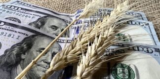 Baja de retenciones: estiman que mejorará la rentabilidad agrícola y ayudará a sostener exportaciones baja-de-retenciones:-estiman-que-mejorara-la-rentabilidad-agricola-y-ayudara-a-sostener-exportaciones