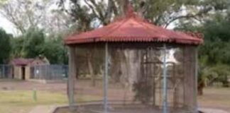 Reconvertirán un histórico parque municipal de Bahía Blanca en un gran pulmón verde reconvertiran-un-historico-parque-municipal-de-bahia-blanca-en-un-gran-pulmon-verde