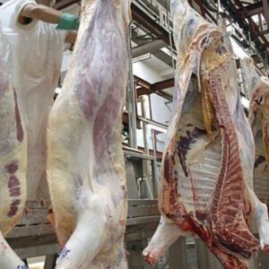 exportacion-de-carne:-el-gobierno-abrio-la-inscripcion-para-la-cuota-hilton-2026-2027