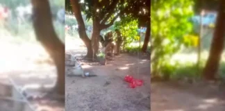 Balacera deja un fallecido y dos heridos en el municipio de San Matías balacera-deja-un-fallecido-y-dos-heridos-en-el-municipio-de-san-matias