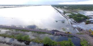 El Gobierno declaró la emergencia agropecuaria en zonas de Santa Fe hasta septiembre el-gobierno-declaro-la-emergencia-agropecuaria-en-zonas-de-santa-fe-hasta-septiembre