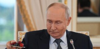 Putin admite que habló con EEUU sobre una posible operación a la venezolana en Cuba putin-admite-que-hablo-con-eeuu-sobre-una-posible-operacion-a-la-venezolana-en-cuba