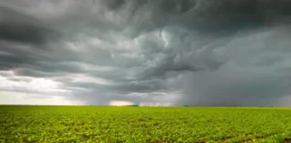 Dólar y Súper Niño: puede el fenómeno climático frenar la acumulación de reservas y complicar la estabilidad cambiaria? dolar-y-super-nino:-puede-el-fenomeno-climatico-frenar-la-acumulacion-de-reservas-y-complicar-la-estabilidad-cambiaria?