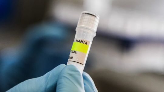 argentina-ampliara-busqueda-de-hantavirus-a-provincia-de-mendoza