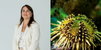 Tamara Rubilar, the marine biologist who turned a family crisis into a biotech venture tamara-rubilar,-the-marine-biologist-who-turned-a-family-crisis-into-a-biotech-venture