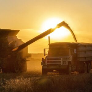 argentina-se-consolida-como-tercer-mayor-exportador-del-agro,-con-el-impulso-de-tres-cultivos