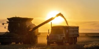 Argentina se consolida como tercer mayor exportador del agro, con el impulso de tres cultivos argentina-se-consolida-como-tercer-mayor-exportador-del-agro,-con-el-impulso-de-tres-cultivos