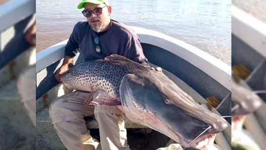 puerto-piracua,-un-rincon-del-parana-para-dar-con-dorados-y-surubies