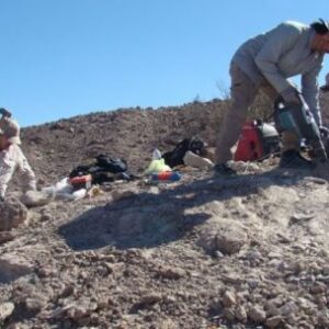 cientificos-argentinos-descubren-un-milenario-y-gigantesco-pariente-de-los-cocodrilos