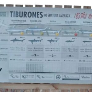 tiburones-en-peligro:-colocan-carteles-informativos-para-fortalecer-la-pesca-responsable-en-rio-negro