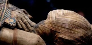 Desentierran dos momias milenarias con ADN no humano desentierran-dos-momias-milenarias-con-adn-no-humano