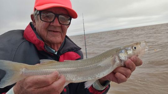 es-la-hora-de-los-matungos:-pejerreyes-trofeo-en-el-rio-de-la-plata-norte