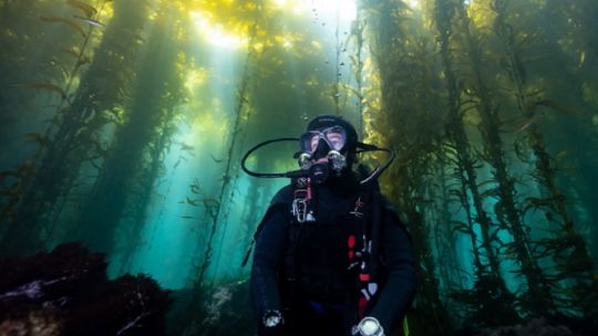 cientificos-argentinos-participaron-en-un-proyecto-clave-para-proteger-los-oceanos-regionales