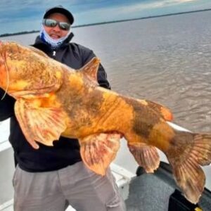 un-gigante-del-fondo:-pescaron-un-manguruyu-de-20-kilos-en-corrientes