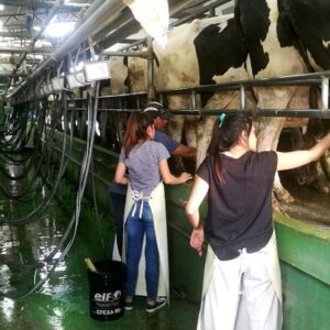 el-gobierno-elimino-el-registro-de-operadores-lacteos-creado-hace-dos-decadas