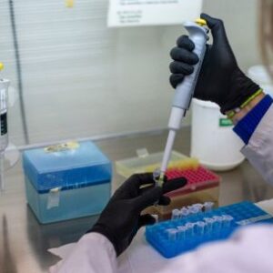 tras-pruebas-no-se-encontro-hantavirus-en-la-provincia-de-mendoza,-dice-ministerio-de-salud
