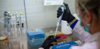 Tras pruebas no se encontró hantavirus en la provincia de Mendoza, dice Ministerio de Salud tras-pruebas-no-se-encontro-hantavirus-en-la-provincia-de-mendoza,-dice-ministerio-de-salud