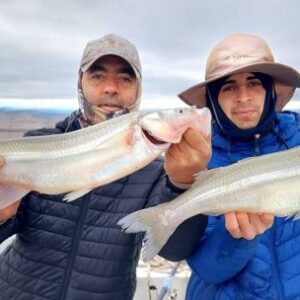 los-pejerreyes-gigantes-de-san-juan-que-atraen-pescadores-de-todo-el-pais