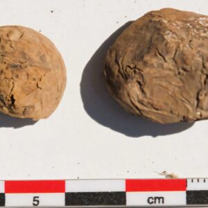 arqueologos-desentierran-unas-raras-papas-deshidratadas-de-500-anos-de-antiguedad-en-un-yacimiento-inca-costero.