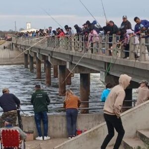 el-regreso-del-pejerrey-disparo-los-controles:-198-procedimientos-en-junin