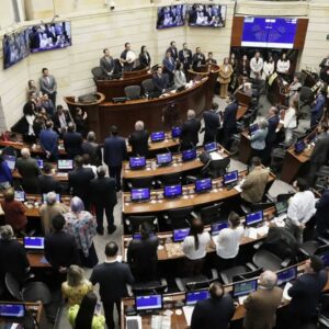 andreina-baduel-denuncia-ante-el-congreso-de-colombia-la-crisis-de-los-presos-politicos-en-venezuela
