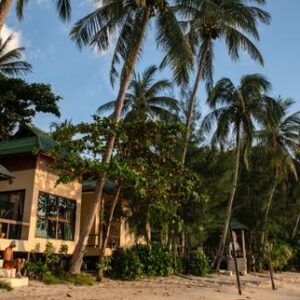 dans-les-iles-de-thailande,-la-chasse-aux-investisseurs-etrangers-et-a-leurs-hommes-de-paille