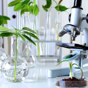 el-gobierno-elimino-restricciones-para-el-patentamiento-de-desarrollos-biotecnologicos