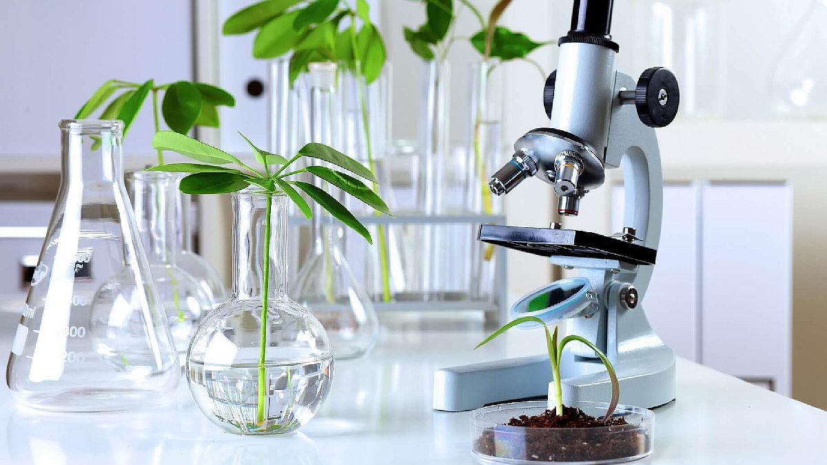 el-gobierno-elimino-restricciones-para-el-patentamiento-de-desarrollos-biotecnologicos