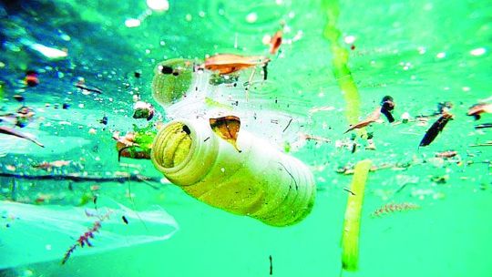 la-basura-que-rompe-motores-en-el-delta
