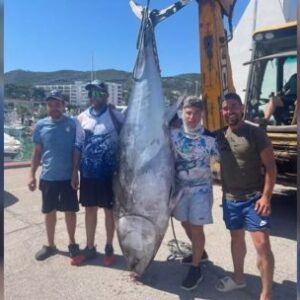 capturaron-un-atun-rojo-de-300-kilos-tras-una-lucha-de-mas-de-90-minutos