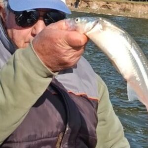 pejerreyes-de-45-cm-en-monte,-en-el-podio-de-las-mejores-lagunas-bonaerenses