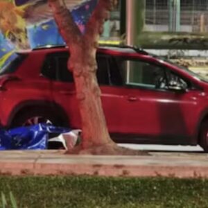 nino-argentino-muere-arrastrado-durante-un-robo-en-chile