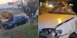 Locura en Entre Ríos: se puso a manejar una retroexcavadora borracho después del partido, chocó siete vehículos y dejó dos heridos locura-en-entre-rios:-se-puso-a-manejar-una-retroexcavadora-borracho-despues-del-partido,-choco-siete-vehiculos-y-dejo-dos-heridos