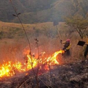 refuerzan-el-combate-aereo-y-terrestre-para-frenar-los-incendios-en-cafayate