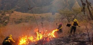 Refuerzan el combate aéreo y terrestre para frenar los incendios en Cafayate refuerzan-el-combate-aereo-y-terrestre-para-frenar-los-incendios-en-cafayate