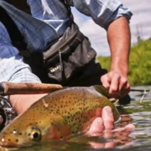 pesca-de-invierno-y-nuevos-escenarios:-el-plan-de-chubut-para-potenciar-el-turismo-todo-el-ano