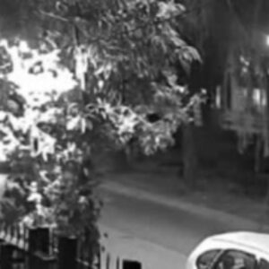 video:-el-momento-en-que-el-tren-arrollo-al-auto-de-ernestina-pais