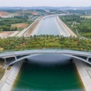 asi-es-el-superpuente-exclusivo-para-animales-que-se-esta-construyendo-en-china