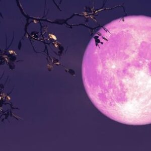 luna-de-fresa-2026:-cuando,-a-que-hora-y-desde-donde-ver-este-impactante-show-astral-en-la-argentina?