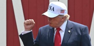 Donald Trump ganó 2,2 millones en 2025, tres veces más que lannée précédant son retour à la Maison Blanche donald-trump-gano-2,2-millones-en-2025,-tres-veces-mas-que-lannee-precedant-son-retour-a-la-maison-blanche