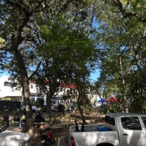 familias-completas-fallaron-juntas-durante-los-dos-terremotos