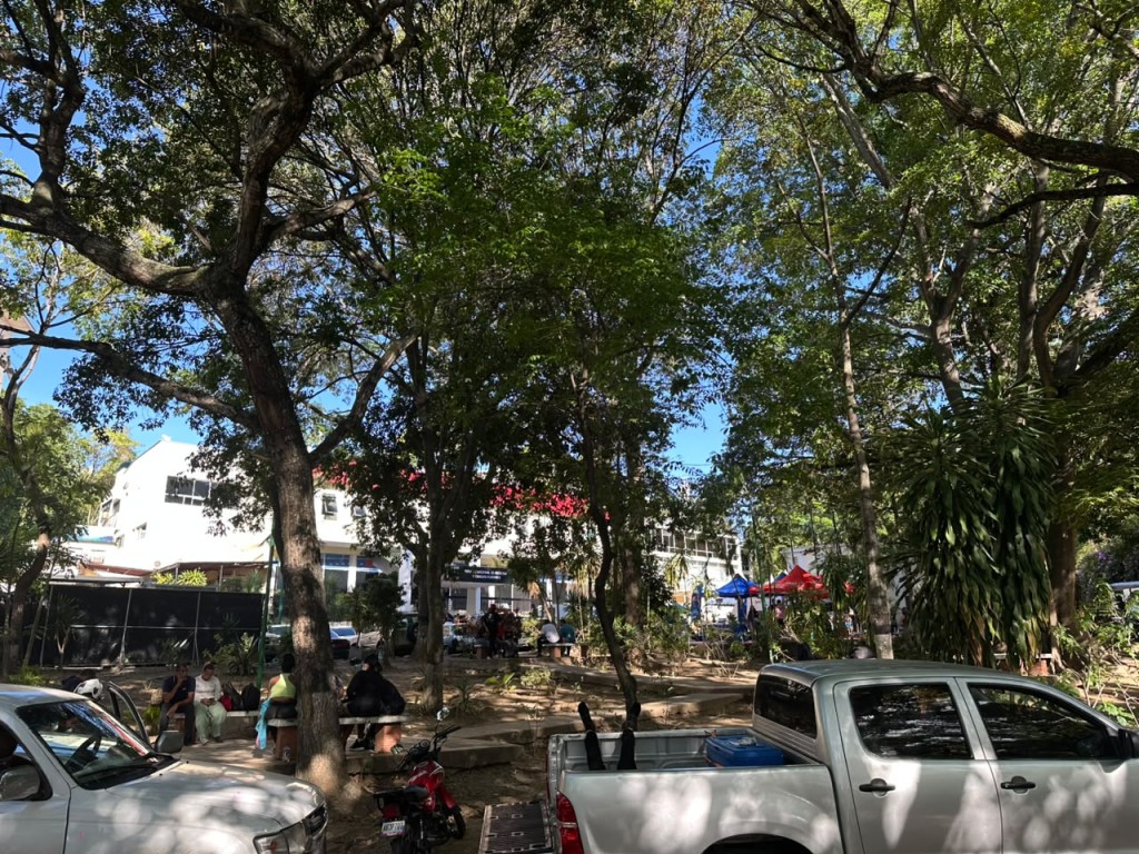 familias-completas-fallaron-juntas-durante-los-dos-terremotos