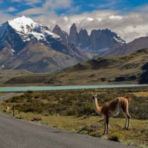 que-hacer-en-ushuaia:-excursiones-para-descubrir-el-fin-del-mundo