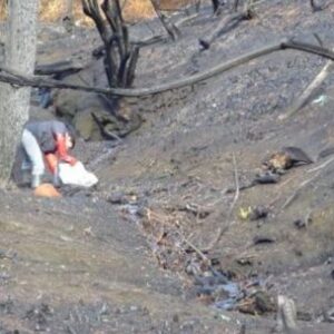 advierten-que-los-incendios-en-la-patagonia-danan-seriamente-el-agua-de-sus-arroyos-y-rios